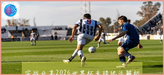 实战分享2026世界杯竞猜玩法解析与战略建议