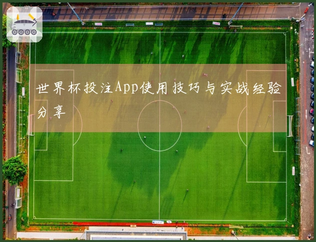 世界杯投注App使用技巧与实战经验分享