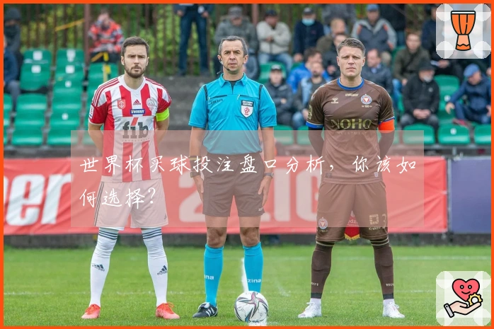世界杯买球投注盘口分析，你该如何选择？
