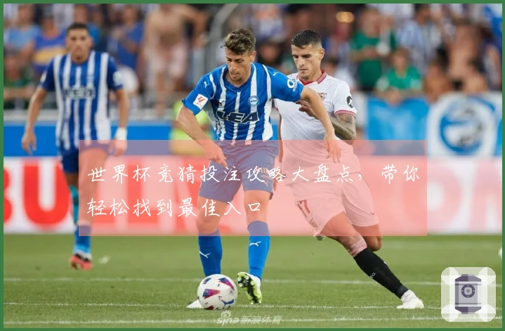 世界杯竞猜投注攻略大盘点，带你轻松找到最佳入口