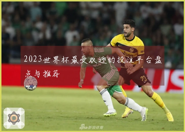 2023世界杯最受欢迎的投注平台盘点与推荐