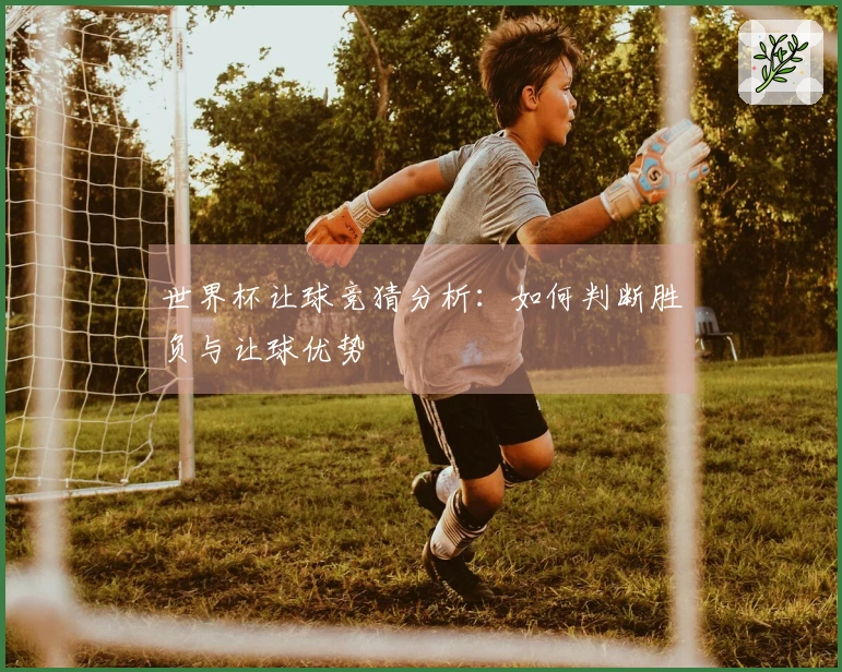 世界杯让球竞猜分析：如何判断胜负与让球优势