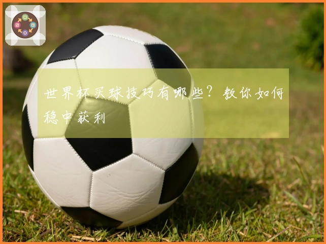 世界杯买球技巧有哪些？教你如何稳中获利