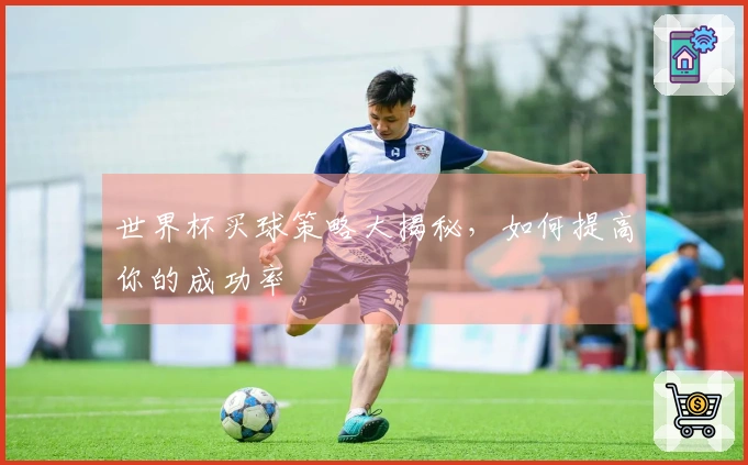 世界杯买球策略大揭秘，如何提高你的成功率