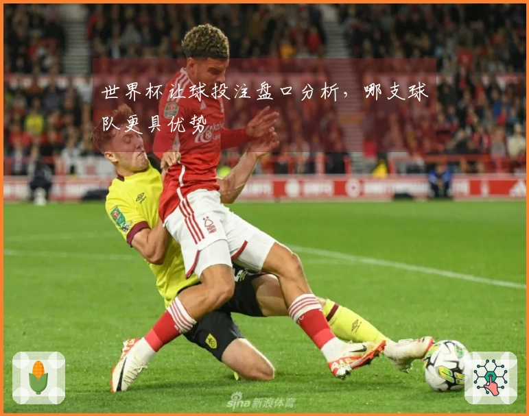 世界杯让球投注盘口分析，哪支球队更具优势