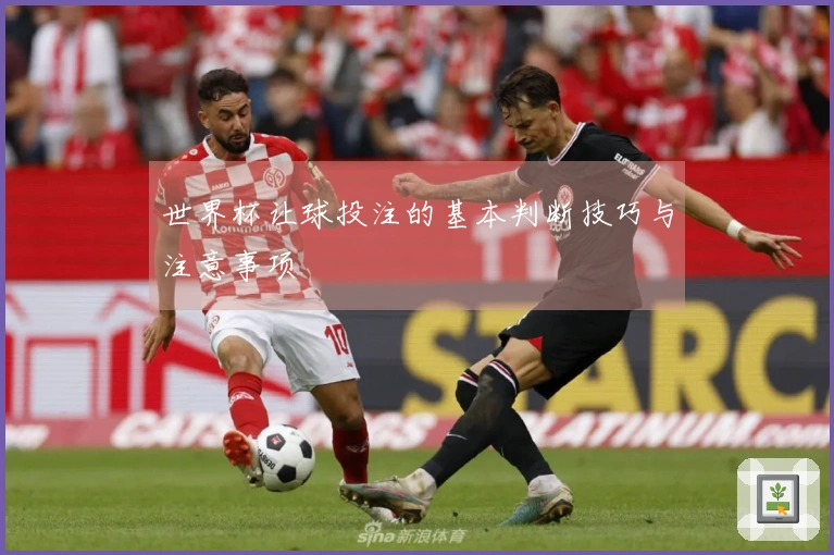 世界杯让球投注的基本判断技巧与注意事项