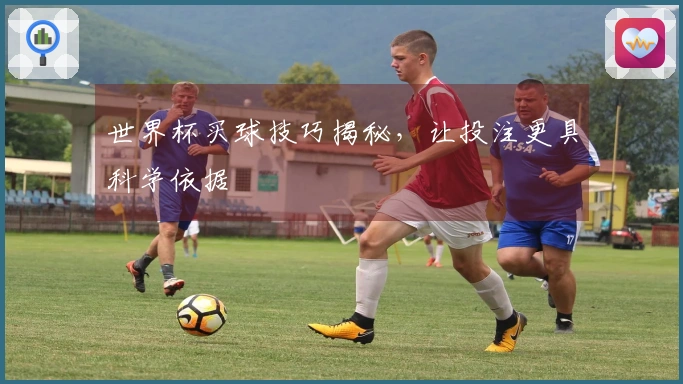 世界杯买球技巧揭秘，让投注更具科学依据