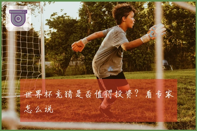 世界杯竞猜是否值得投资？看专家怎么说