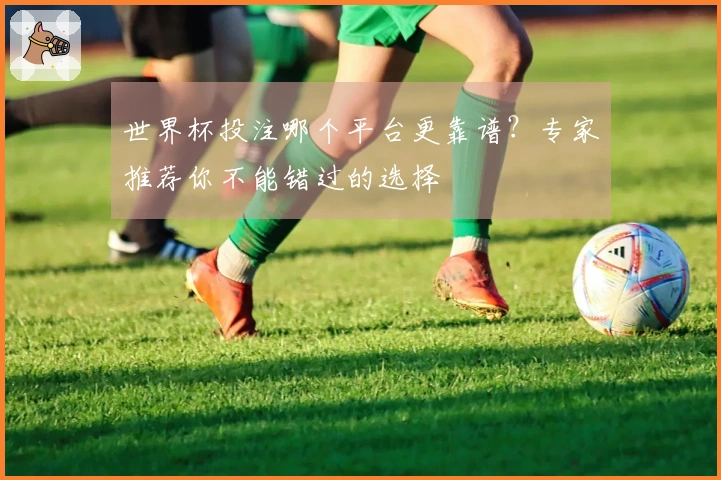 世界杯投注哪个平台更靠谱？专家推荐你不能错过的选择