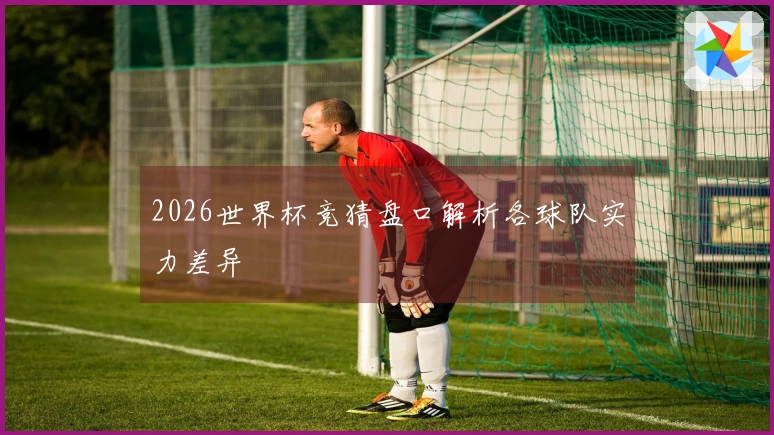 2026世界杯竞猜盘口解析各球队实力差异