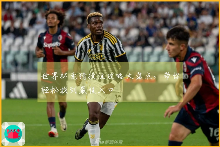 世界杯竞猜投注攻略大盘点，带你轻松找到最佳入口