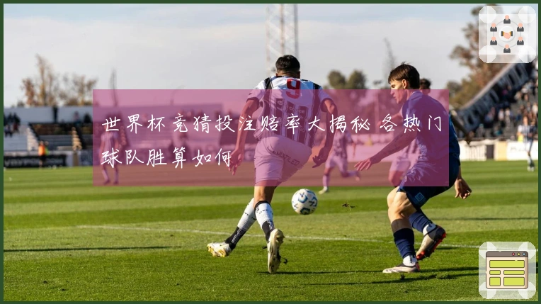 世界杯竞猜投注赔率大揭秘 各热门球队胜算如何