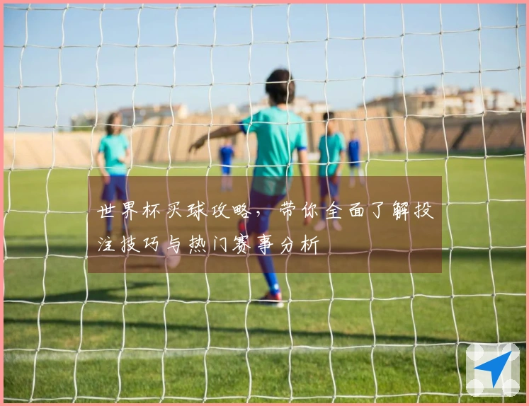 世界杯买球攻略，带你全面了解投注技巧与热门赛事分析