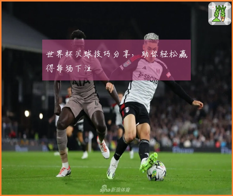 世界杯买球技巧分享，助你轻松赢得每场下注