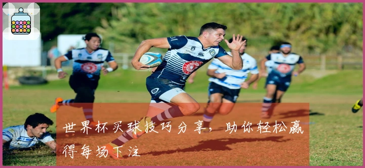 世界杯买球技巧分享，助你轻松赢得每场下注