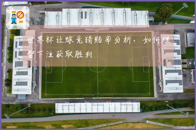 世界杯让球竞猜赔率分析，如何理智下注获取胜利