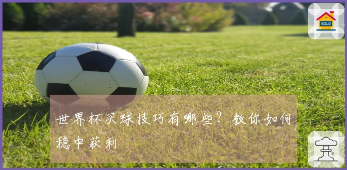 世界杯买球技巧有哪些？教你如何稳中获利